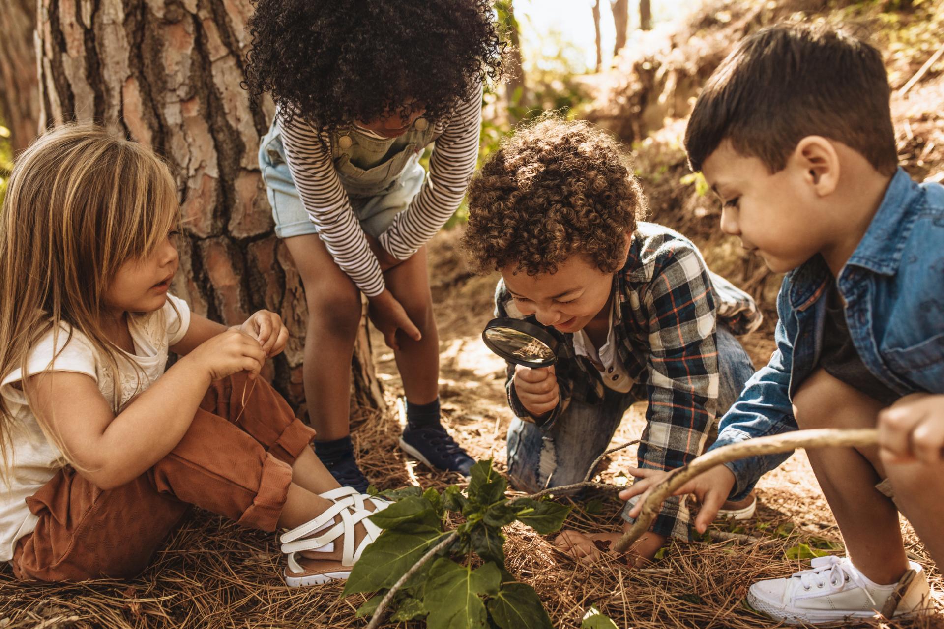 Group of kids, one holding a magnifying glass in the woods